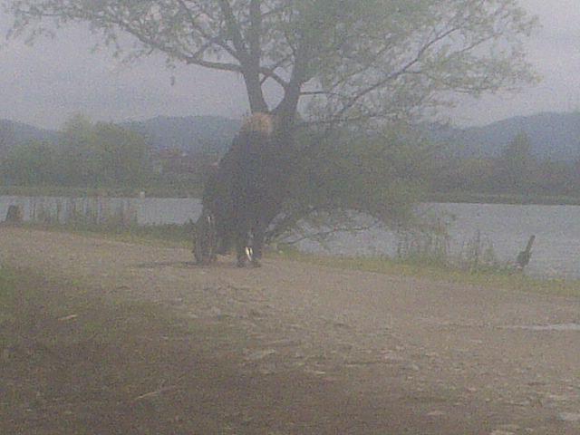 diverse - Sunt la pescuit. O persoana in carut a trecut pe langa betele mele...i-am vazut doar o lacrima sub ochelarii de soare ce-i purta. Suntem atat de norocosi ca avem sansa asta de a fi sanatosi! Ce cruda-i viata cu unii dintre noi!
